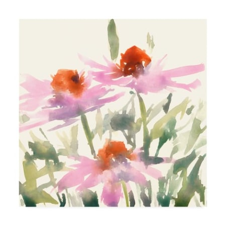 Samuel Dixon 'Daisy Garden Views I' Canvas Art,35x35